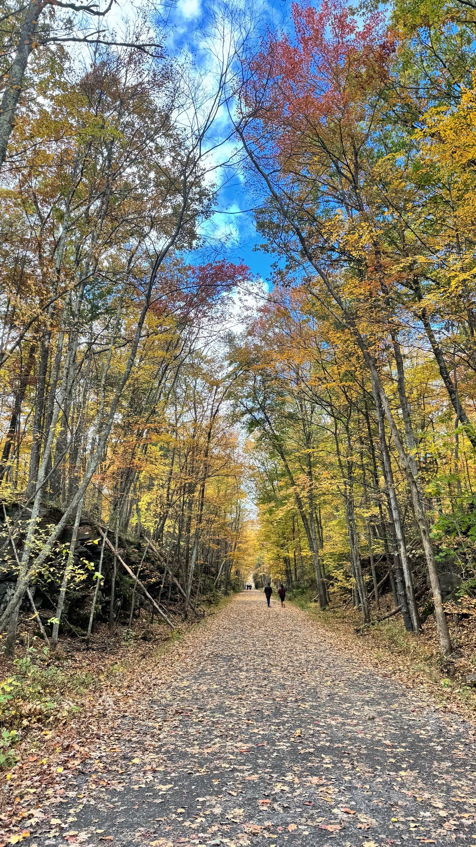 Ashokan Rail Trail in Woodstock, NY in fall