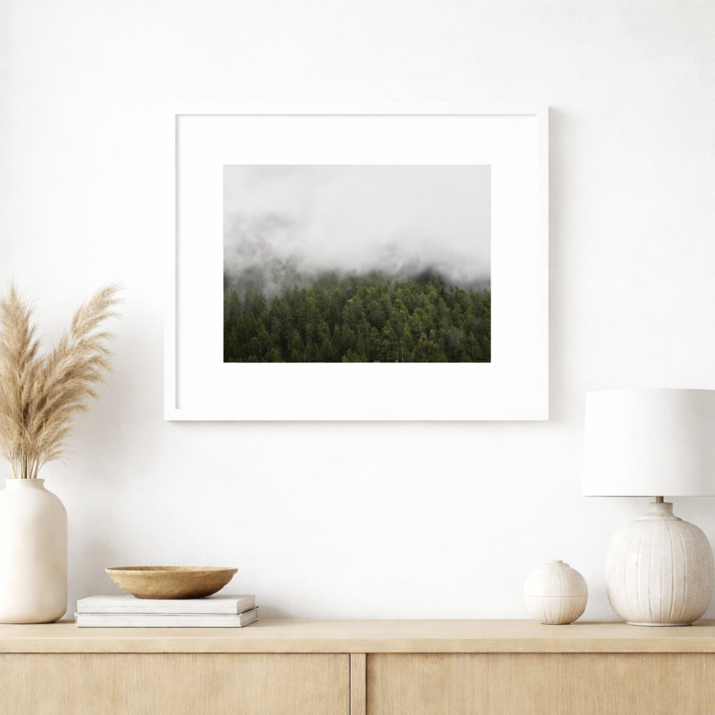 Between Pine Trees White Frame on Wall.png