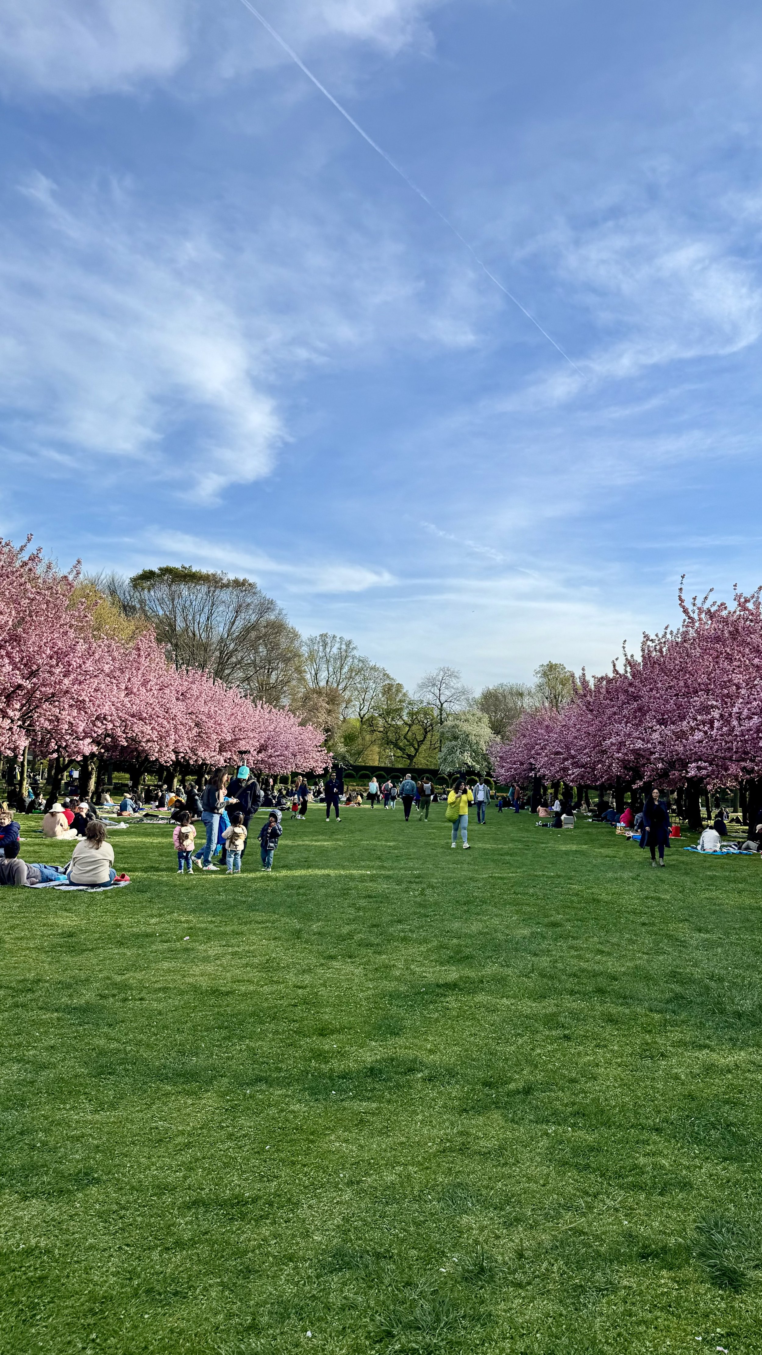 Brooklyn Botanic Garden in NYC