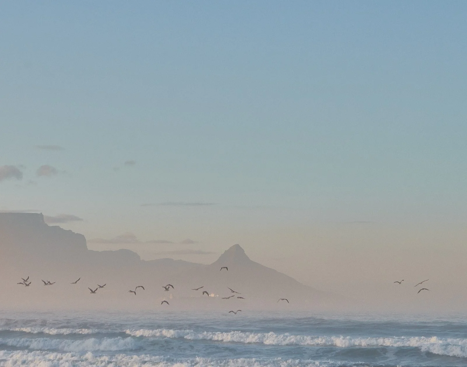 Flock of birds flying over the ocean at dusk with Table Mountain in the distance