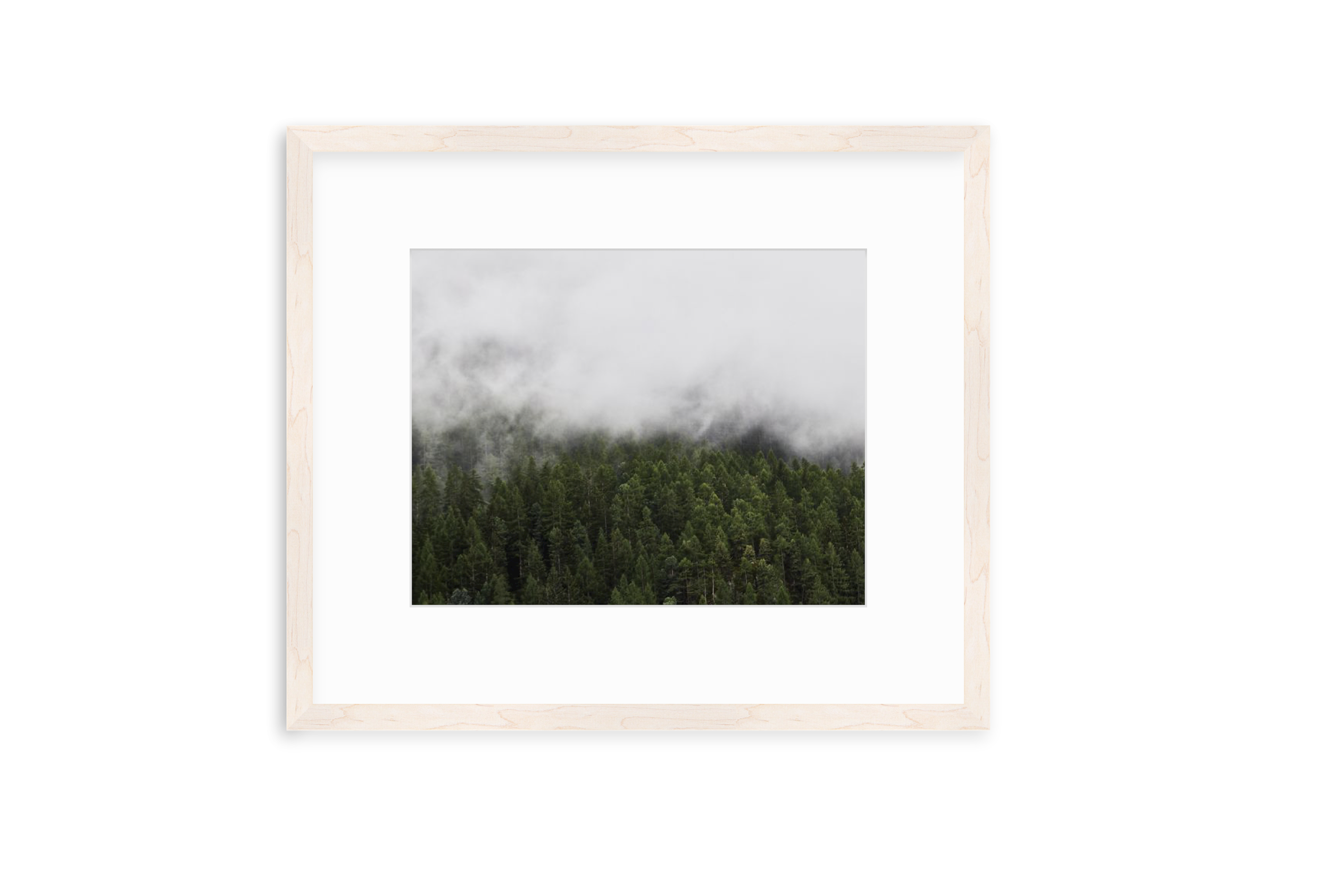 Screen Shot 2021-05-28 at 2.01.24 PM.png