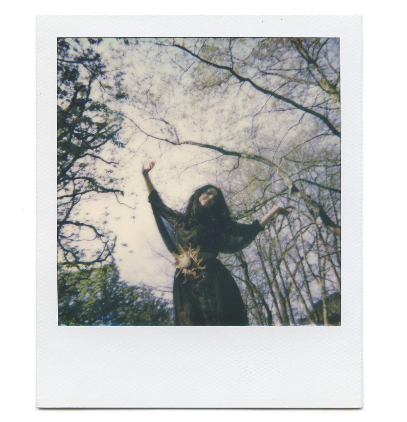 polaroid-portrait-mari-basque-eguzkilore-trees.jpg