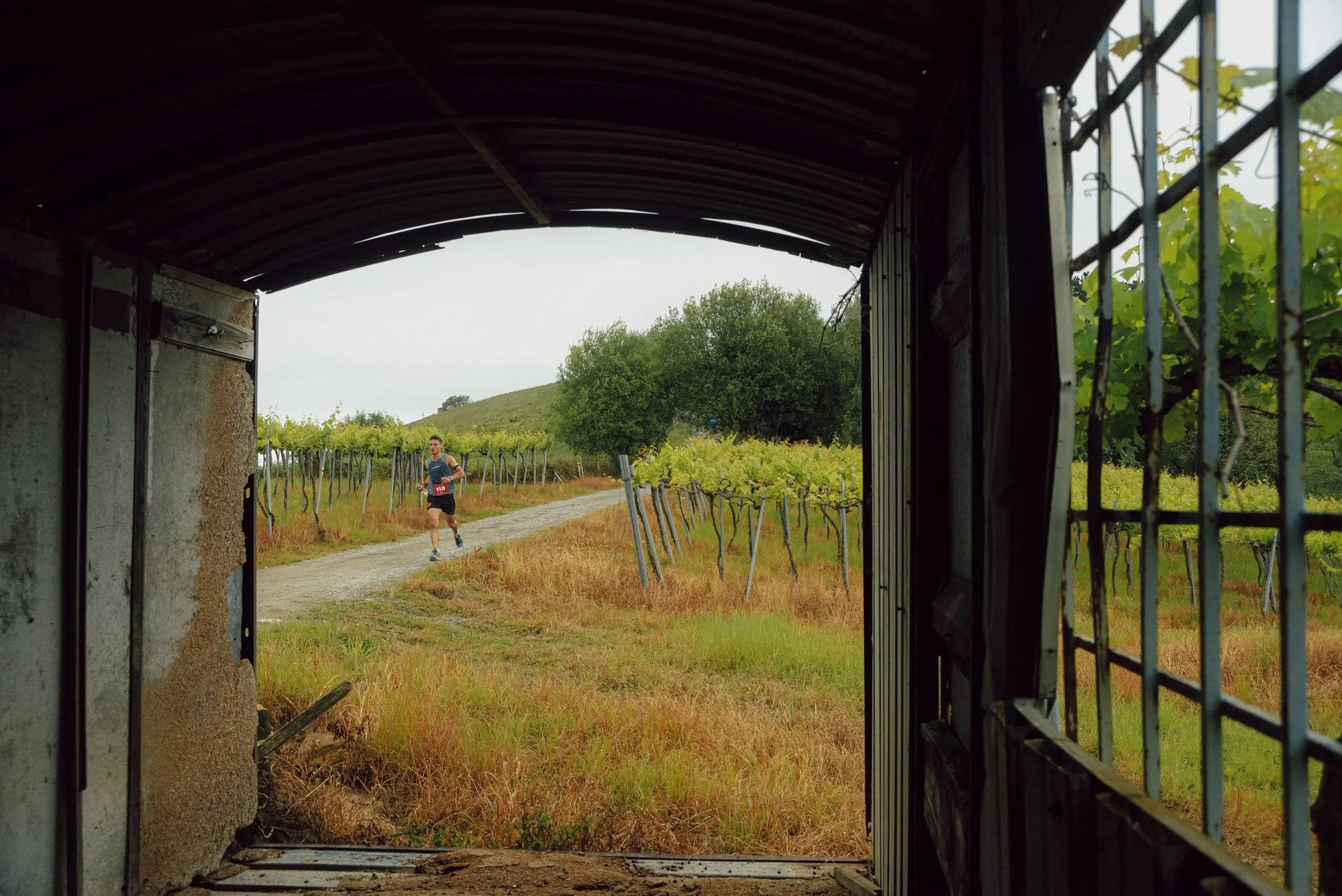 aran-trail-running-vineyards-basque-country-frame-within-frame.jpg