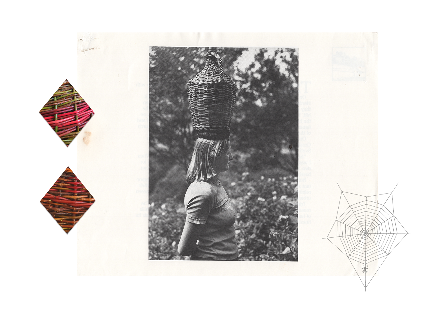 wt04_collage.png