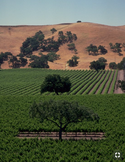 Screen Shot 2018-10-10 at 8.53.38 PM.png