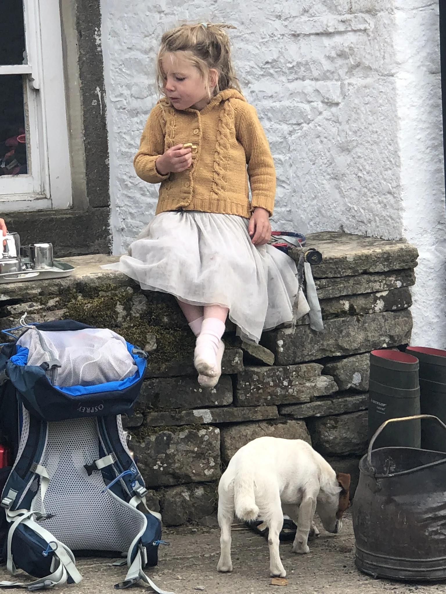 Young Clemy Owen shares a scone with guests as her dog happily picks up the scraps.