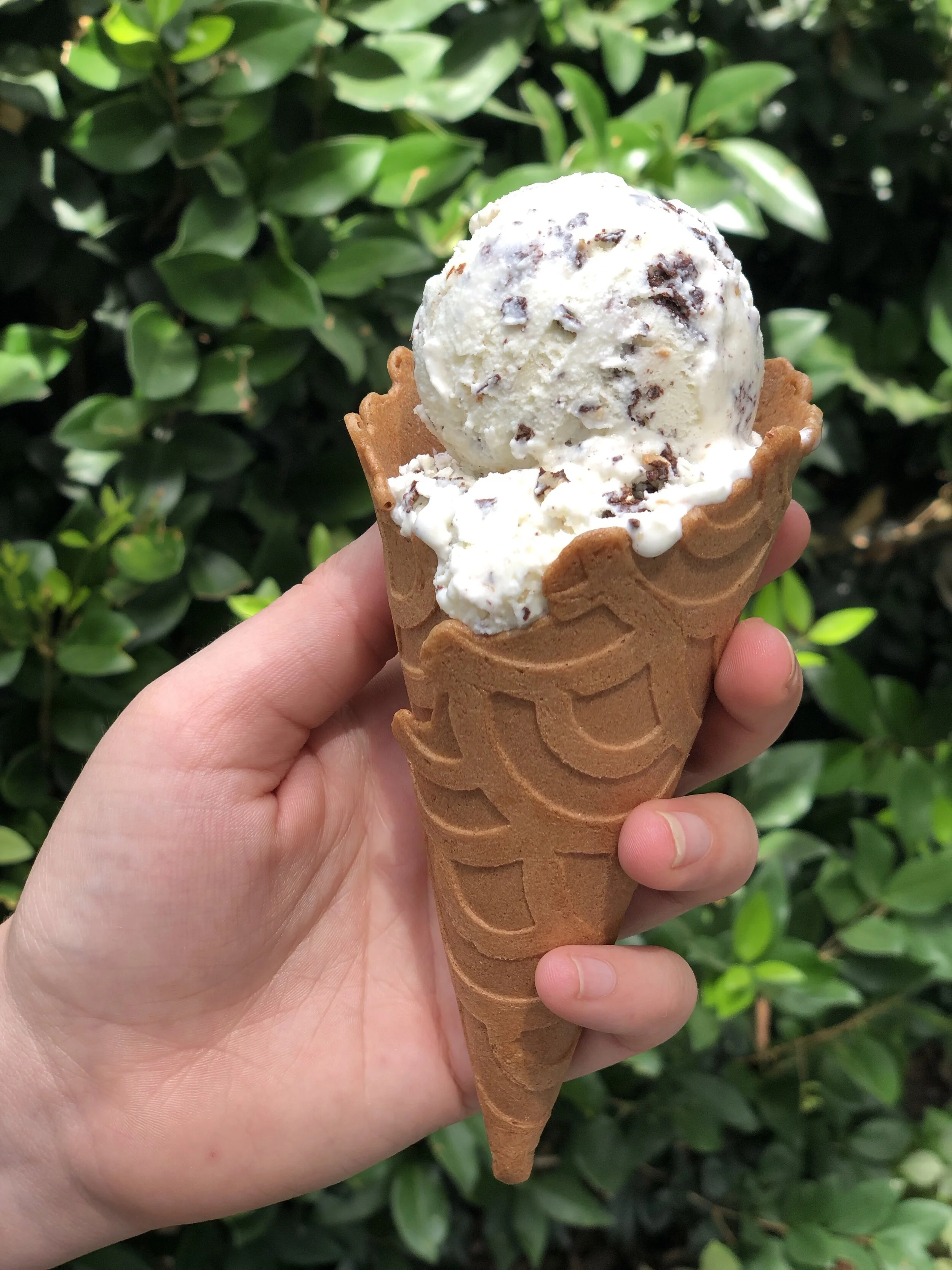 The cone I’m setting my sights on is a Koney Cinnamon Brown Sugar cone with McConnell’s Toasted Coconut Almond Chip ice cream.