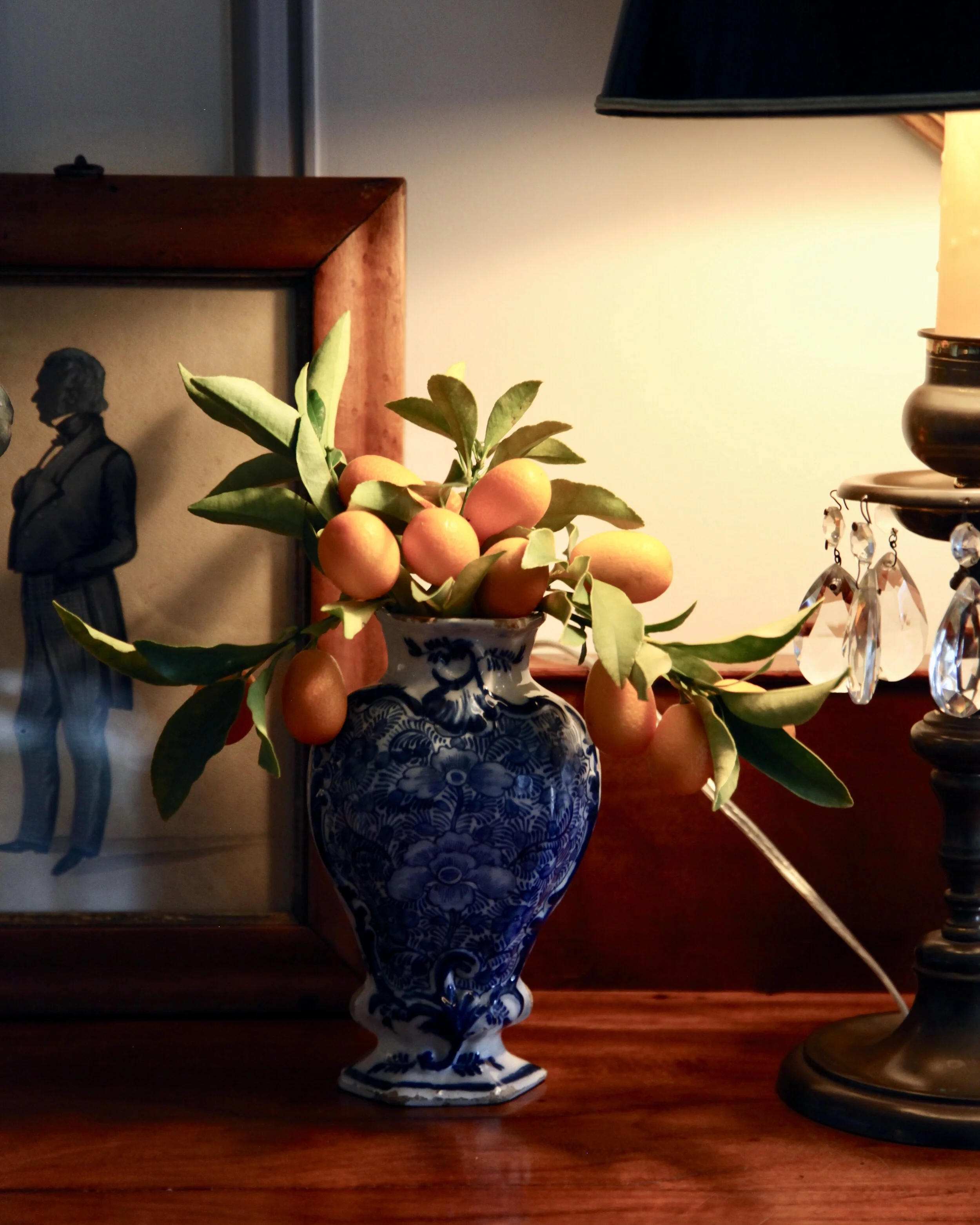 Kumquat Trees - And Their Many Uses