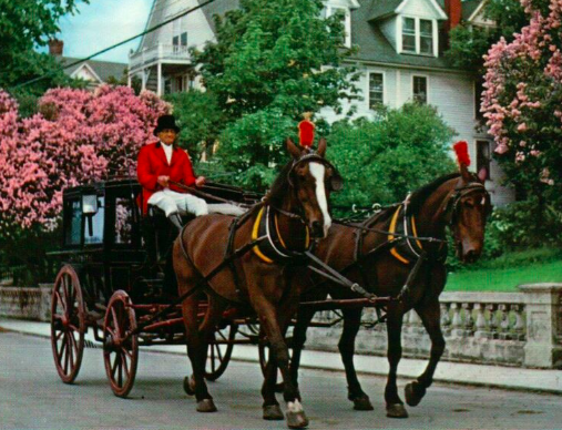 Horse-Drawn Carriage Rides