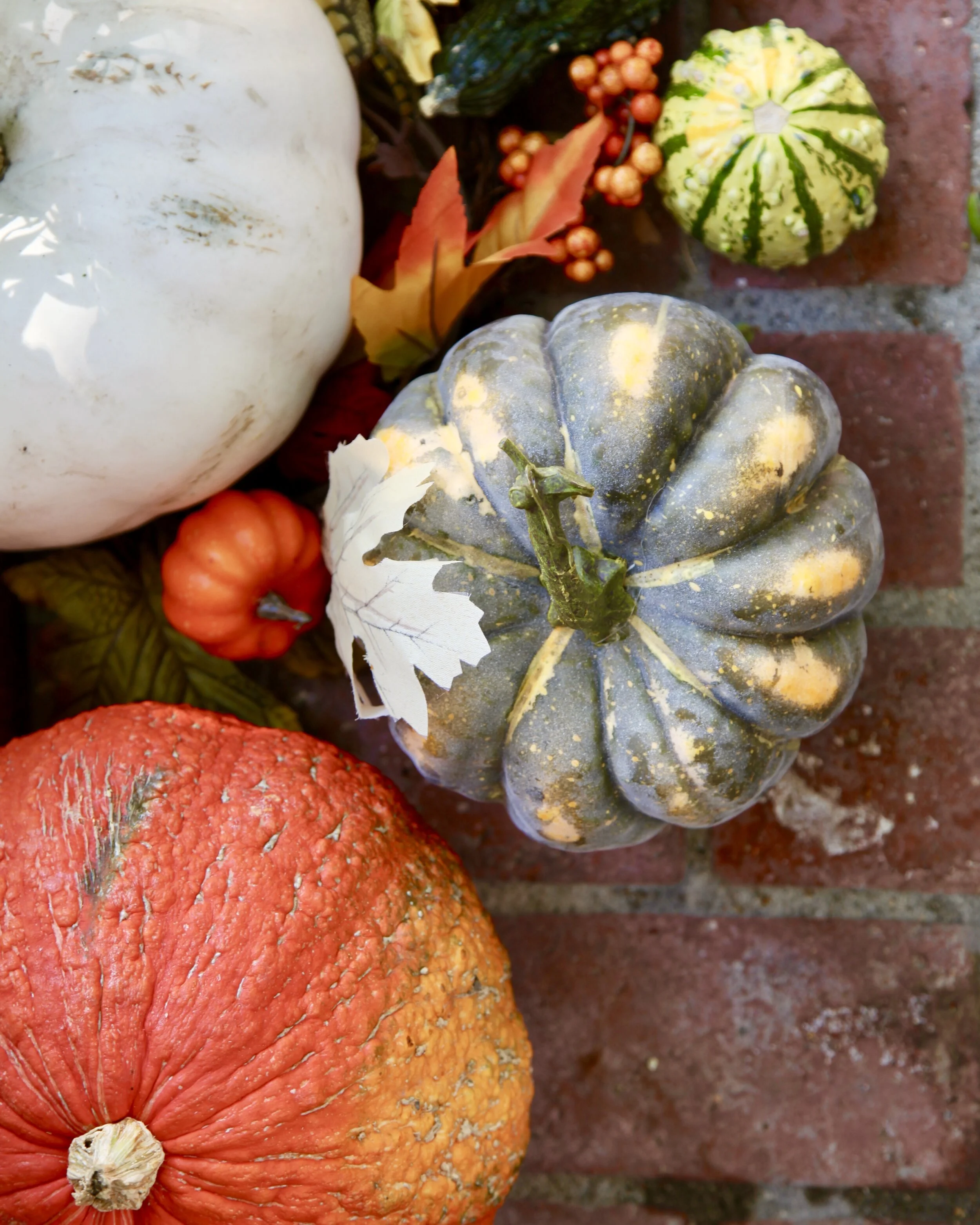 Pumpkin Layering 101