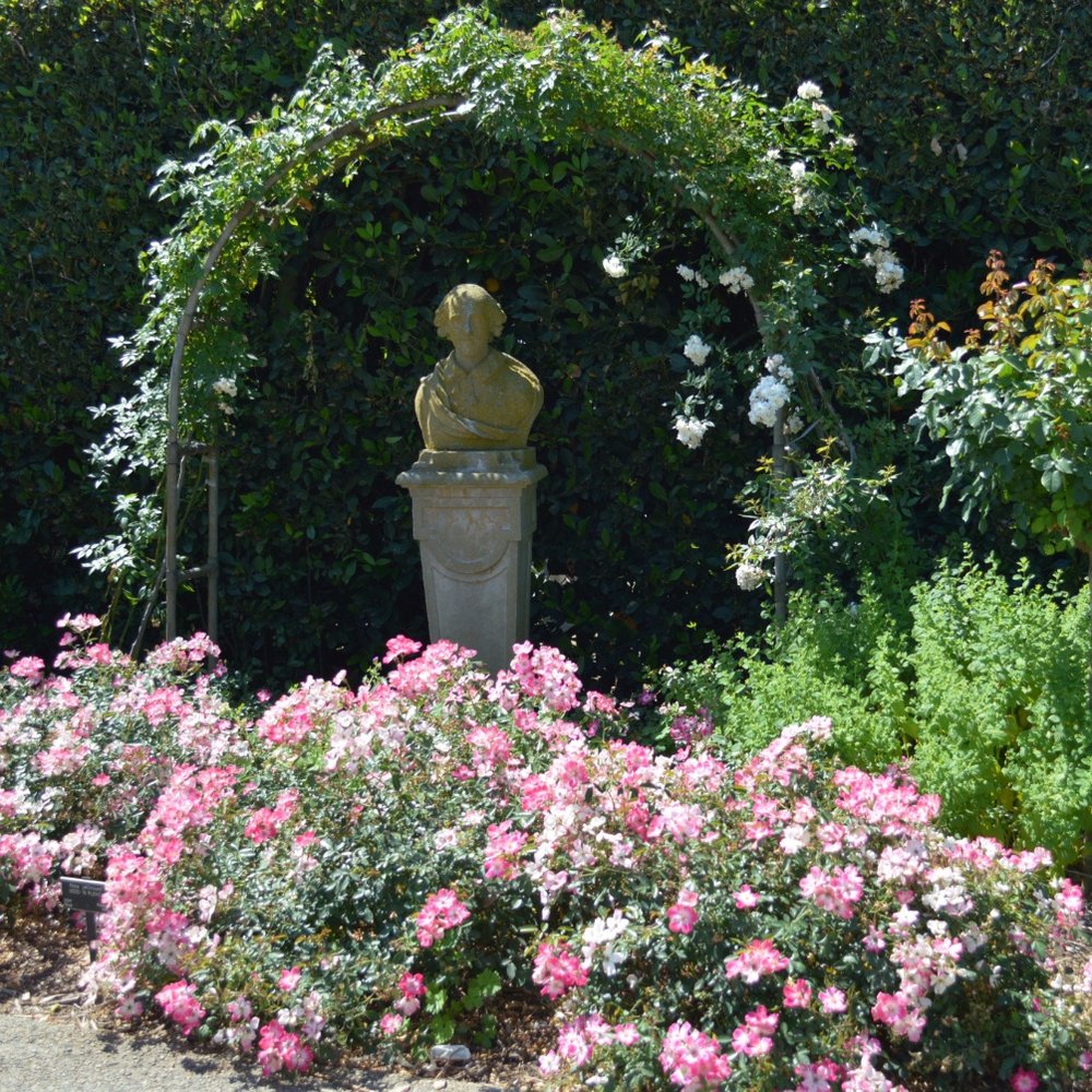 Shakespeare welcomes guests to Rose Garden