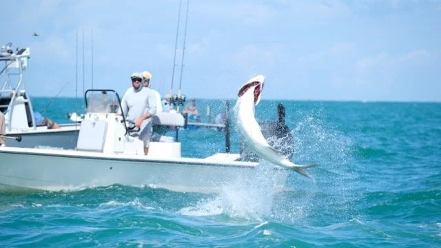 tarpon-fishing-charter-boca-grande-suncoast-expeditions Medium.jpeg