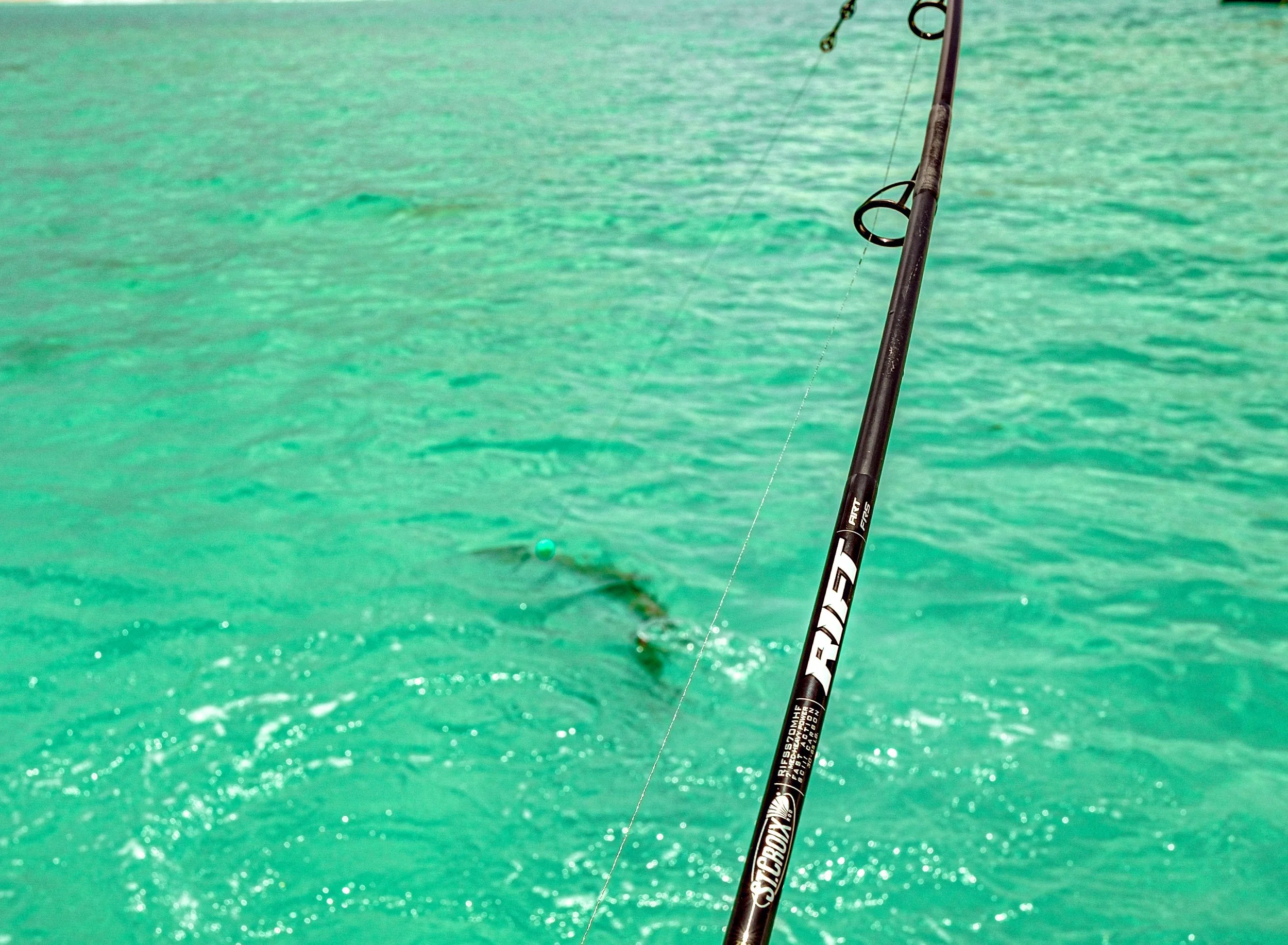 RIFT-Tarpon.jpg