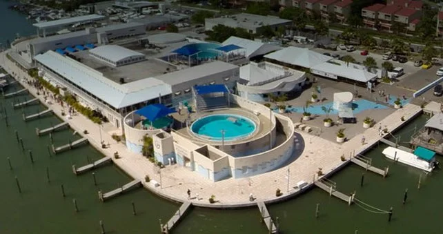 Clearwater Marine Aquarium