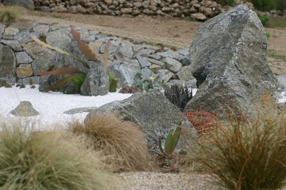 zen-intertidal-zone_5536183648_o.jpg