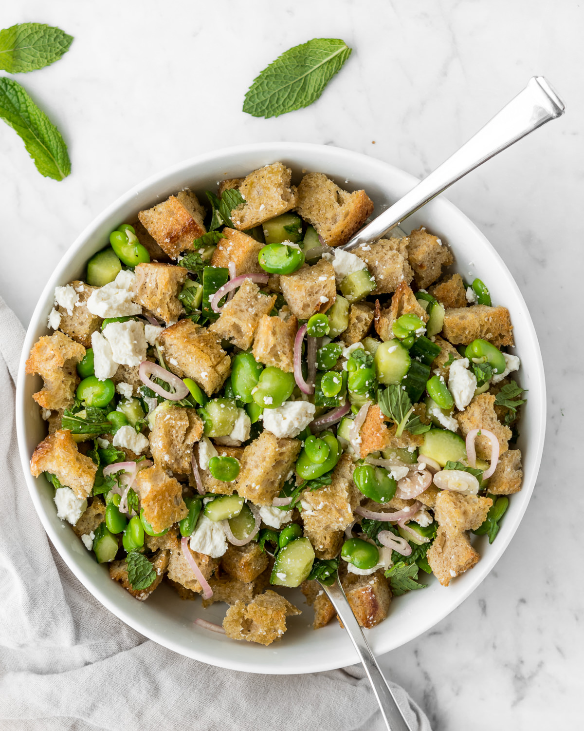 fava bean spring panzanella