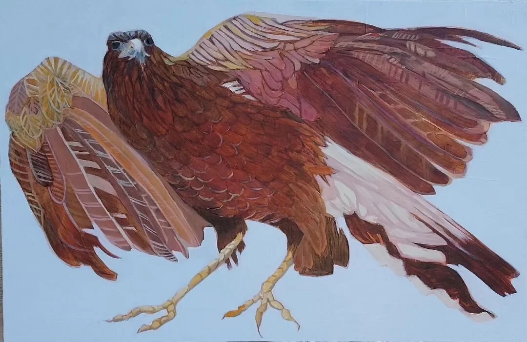 Harris hawk, 24in.x 18in., acrylic on canvas. A loose interpretation of an actual bird named Karen. Available on my website. DM me for more info.