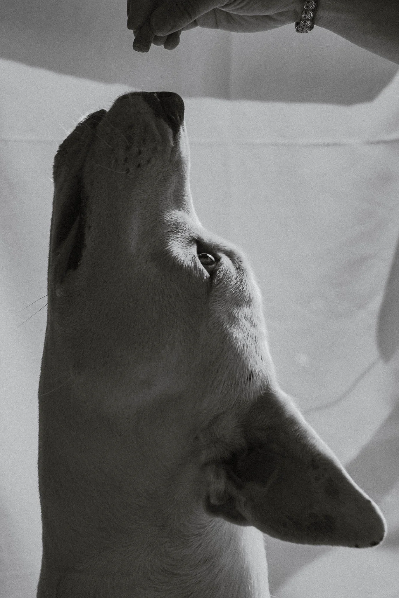 Shoot-SambuRiver-Portrait-13.jpg