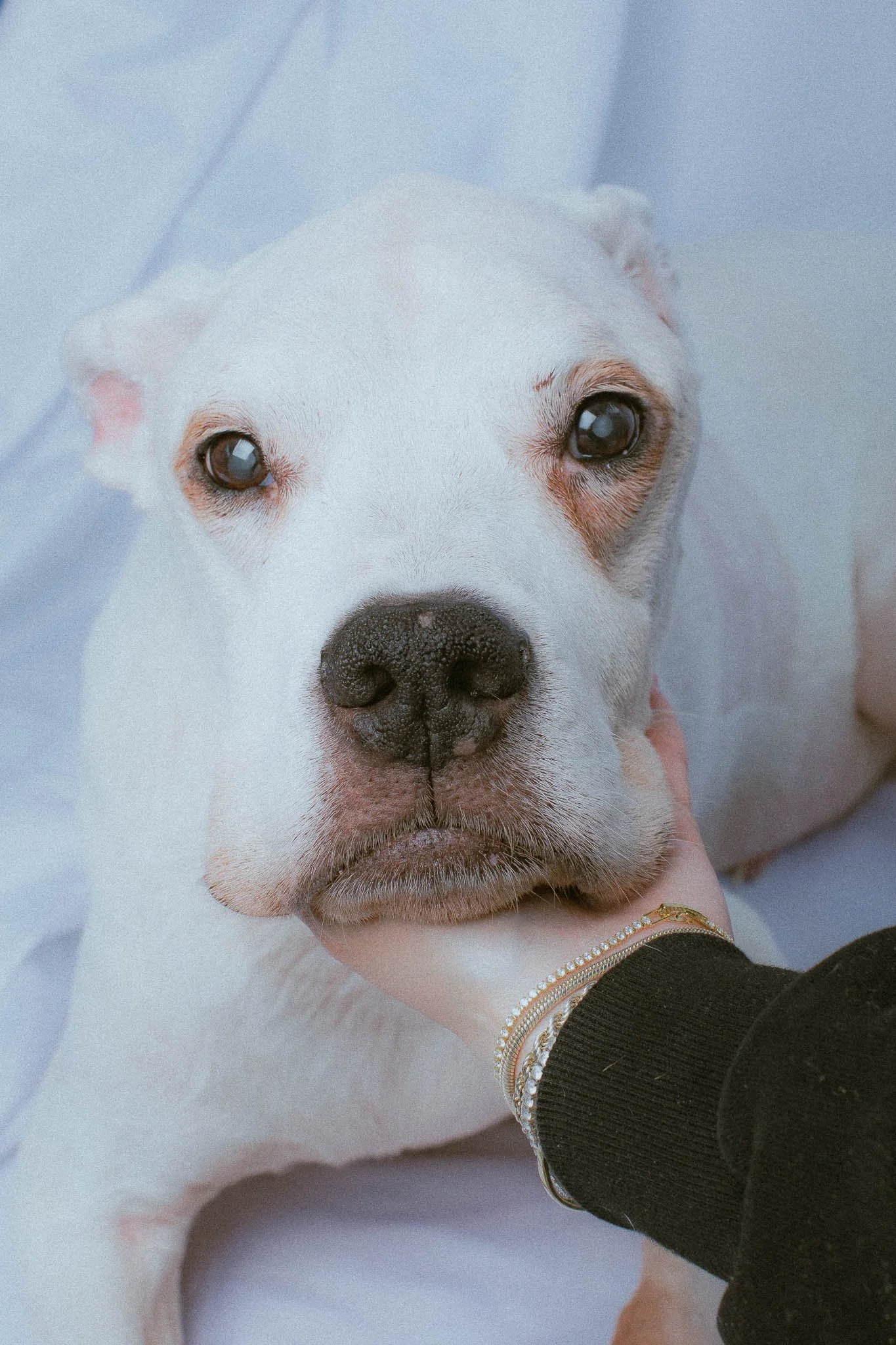 Shoot-SambuRiver-Portrait-76.jpg
