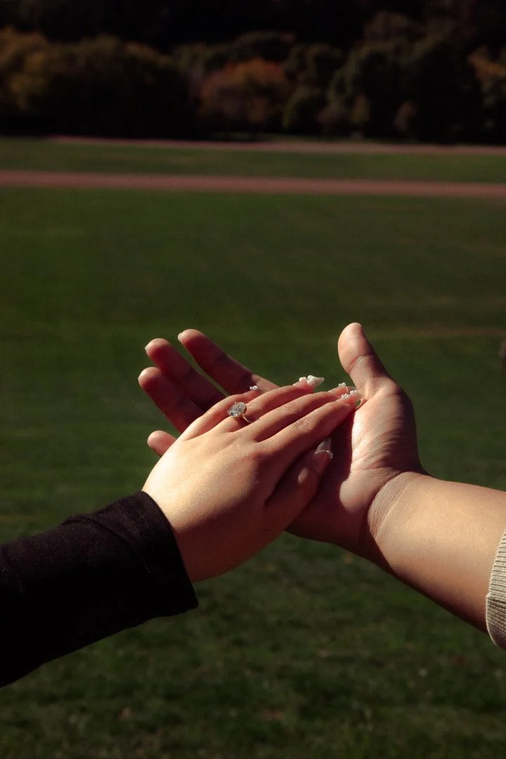 Shoot-Prewed-TrishJames-RiverdalePark-33.jpg