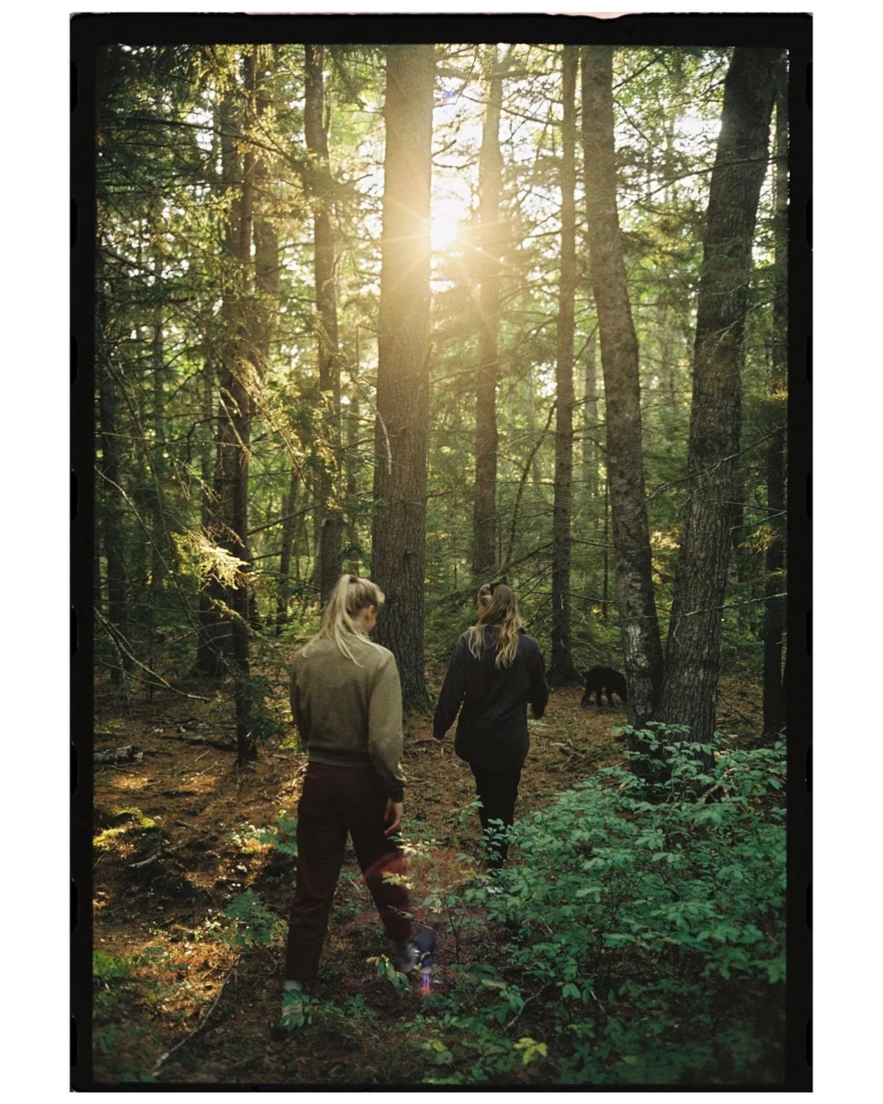 summer backlog- scouting a forest slumbie, the ferry to san juan, a picnic with charity, early morning on my birthday, and mollie&rsquo;s home to be