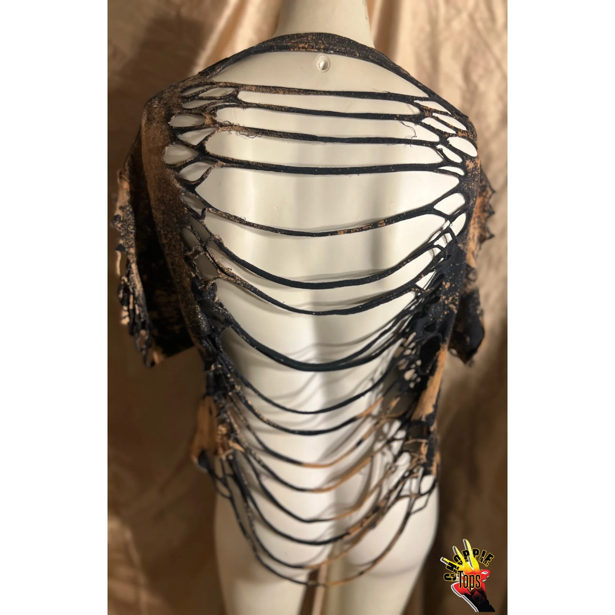 4DBAE91F-72A9-4F5B-89E0-8666EA8AAE77