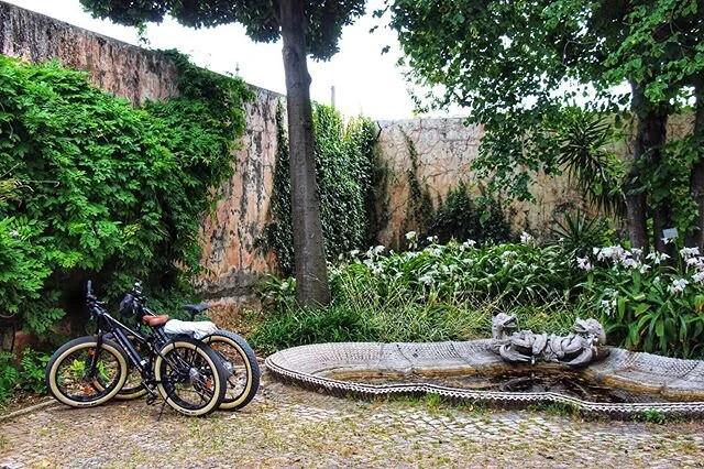 One of my favorite things. Take a new book on a bike ride, find a little nook, and throw down a blanket.
⠀⠀⠀⠀⠀⠀⠀⠀⠀
E-bikes here in Lisbon, but been trying to do every weekend in SF. I&rsquo;m liking this new weekly thing. :)