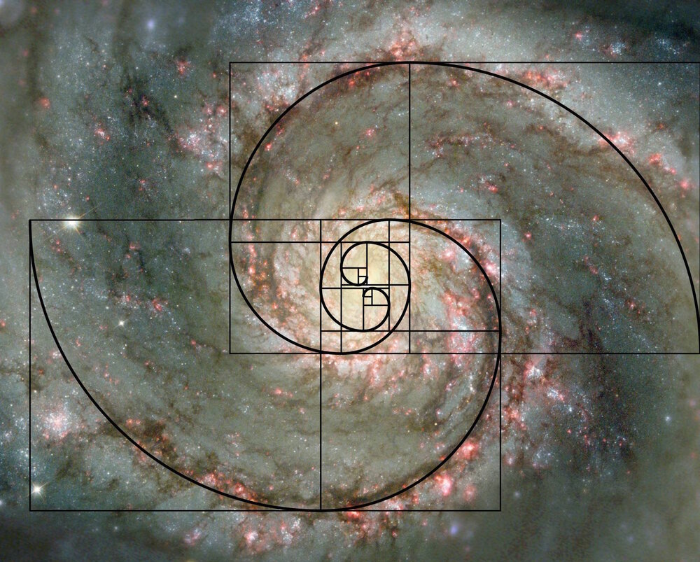 fibonacci-spiral-galaxy-1pbbryd.jpg