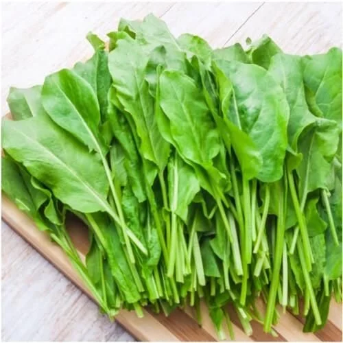 sheeps sorrel.jpeg