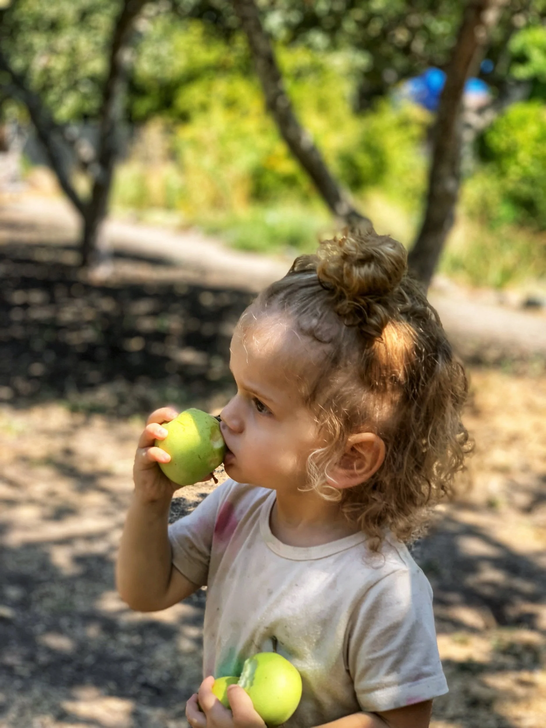 East Bay Exploring