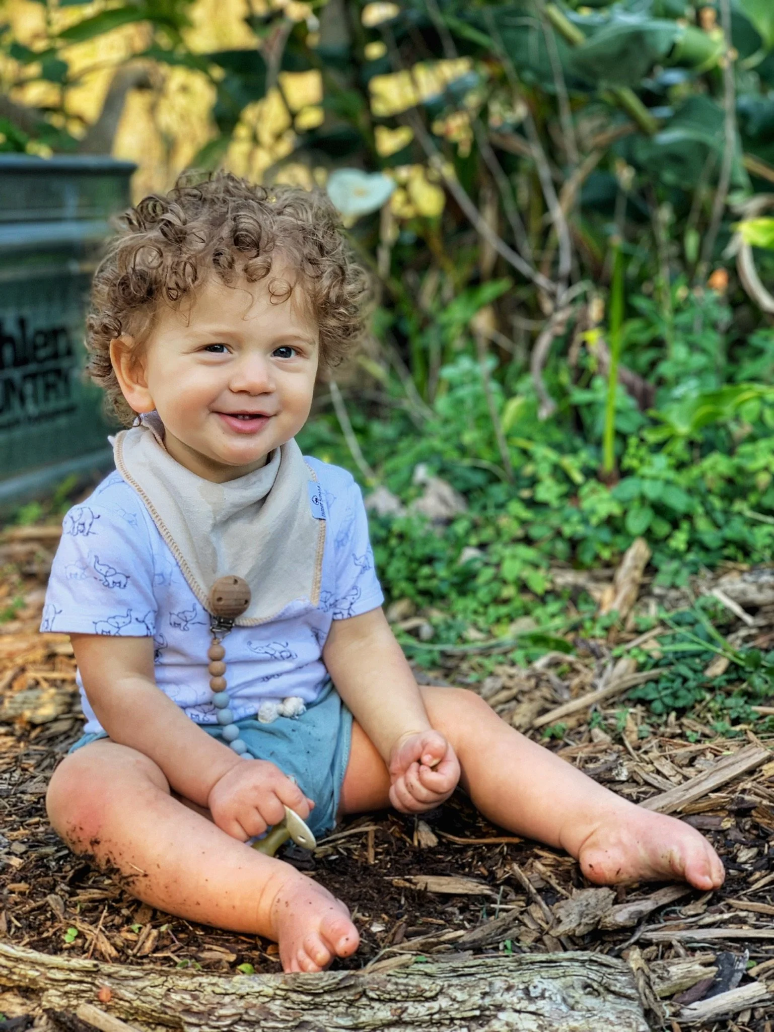 Our Favorite San Francisco Walks