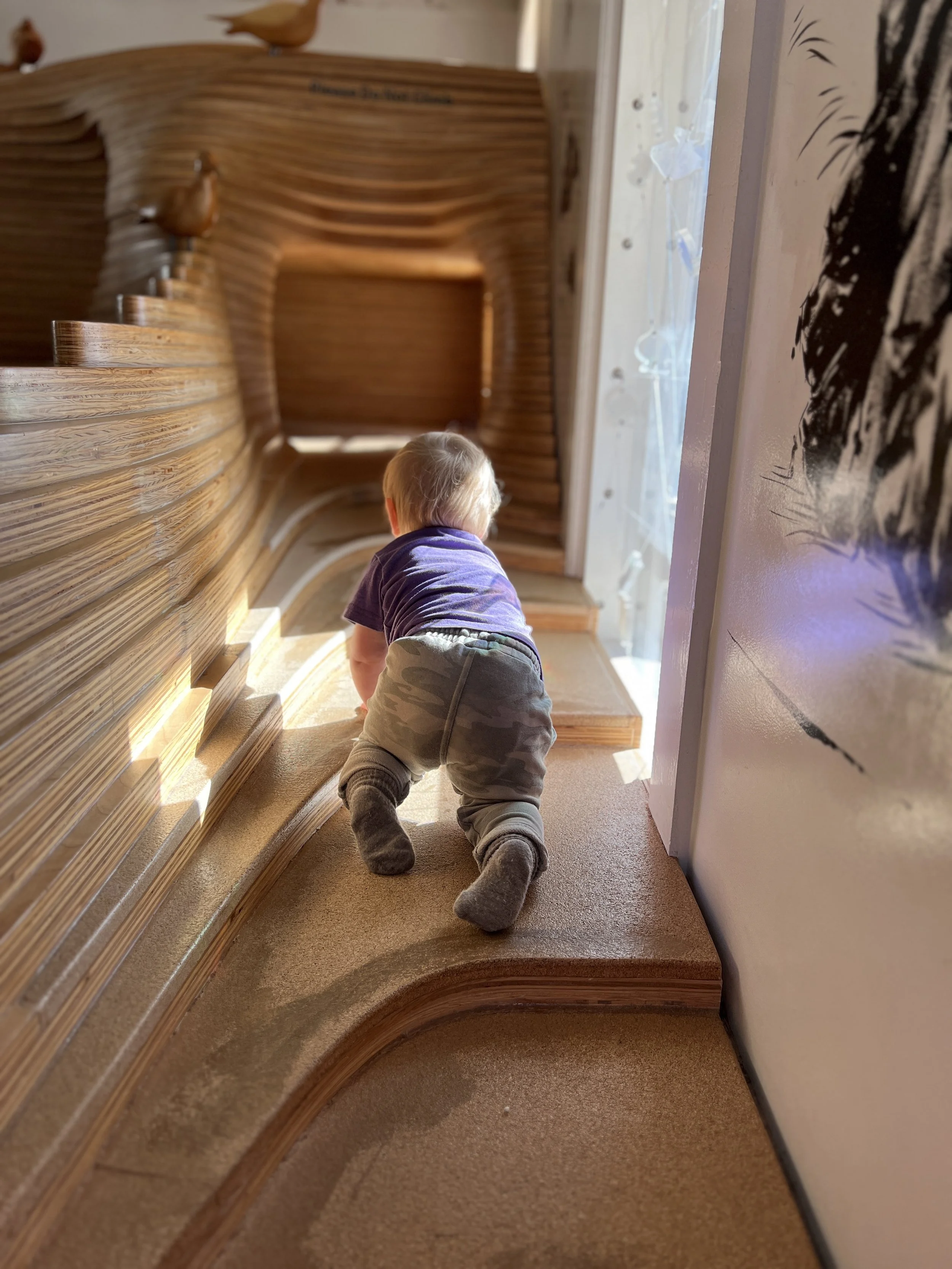 Kid &amp; Baby Museums around the East Bay