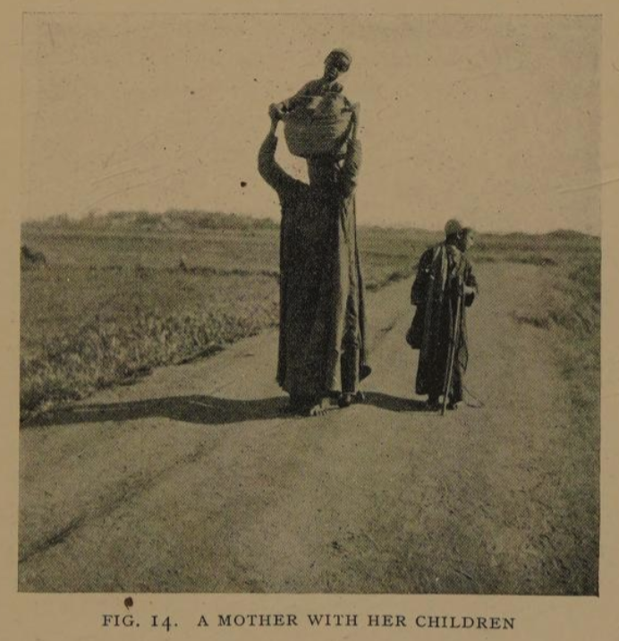 How Egyptian Women Illuminate Ancient Wisdom