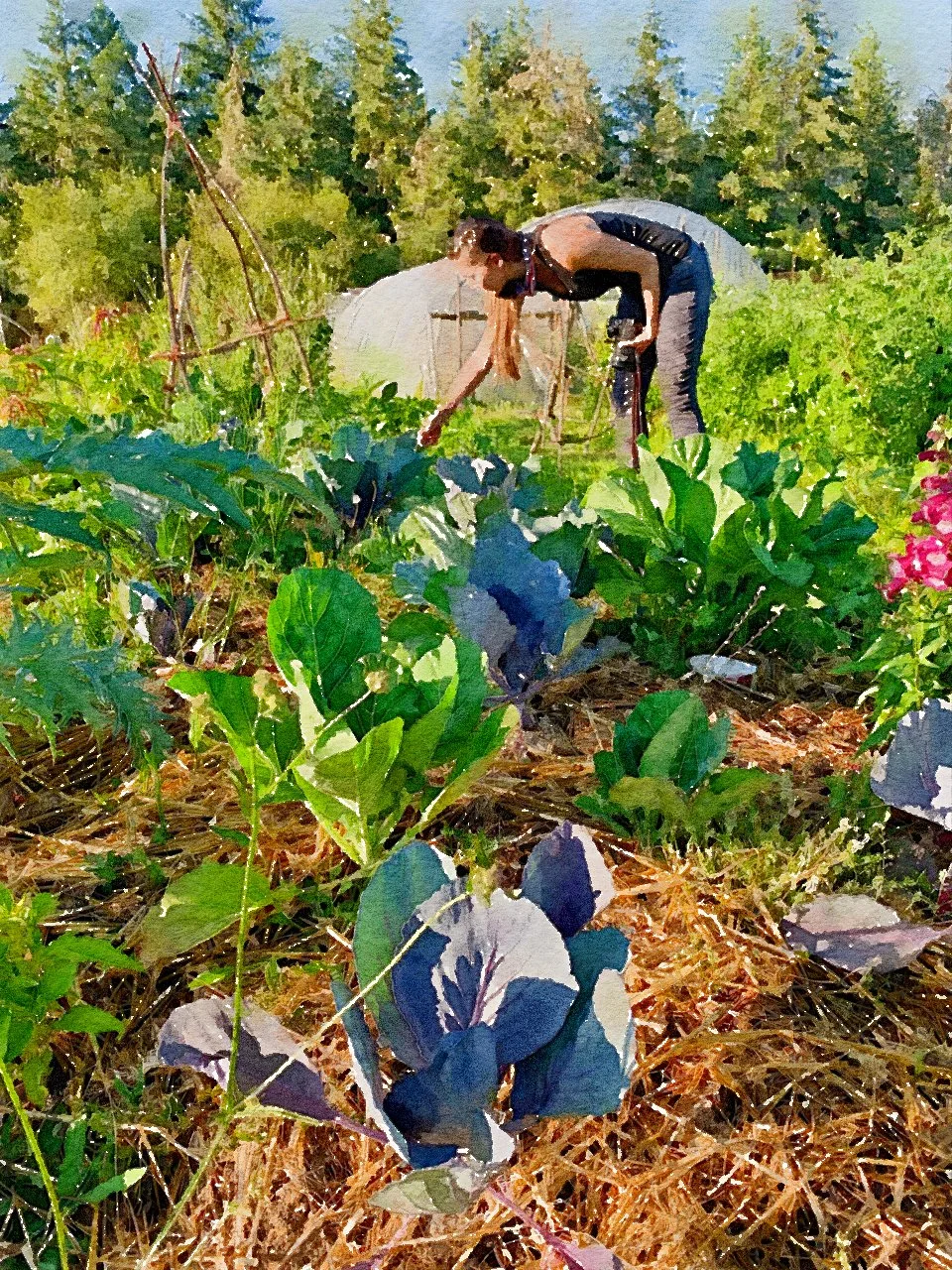 Master Gardener's Advice