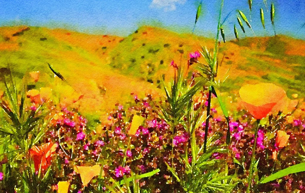‘Extraordinary' Super Bloom Expected