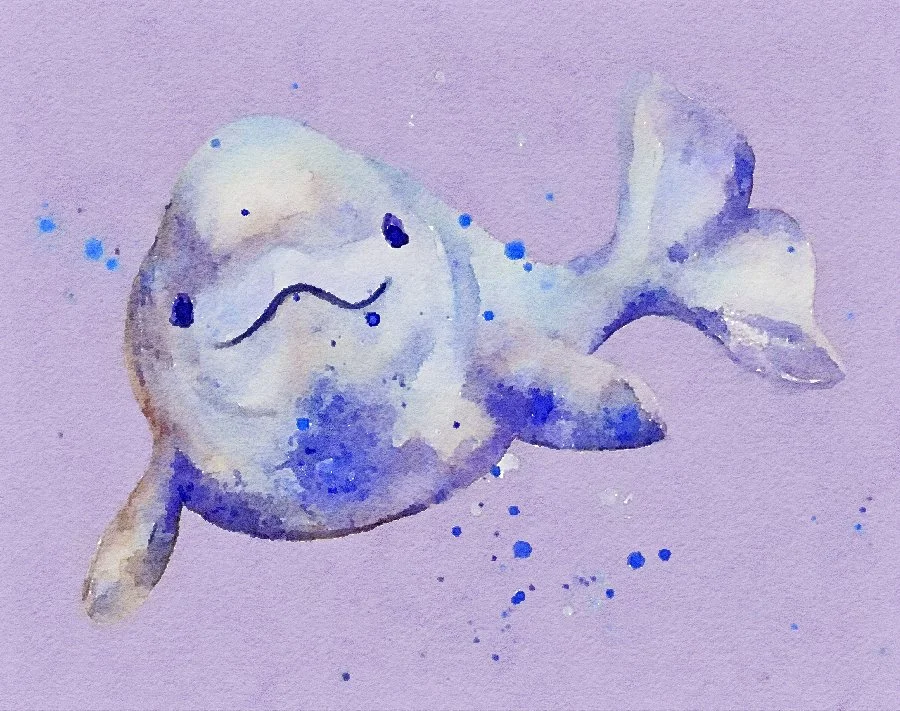 Baby Signs - Baby Beluga Song