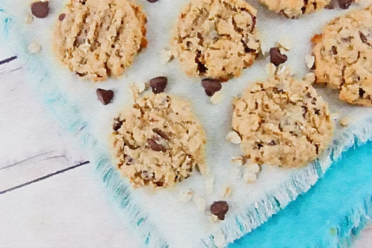 Lactation Cookies (THE BEST)