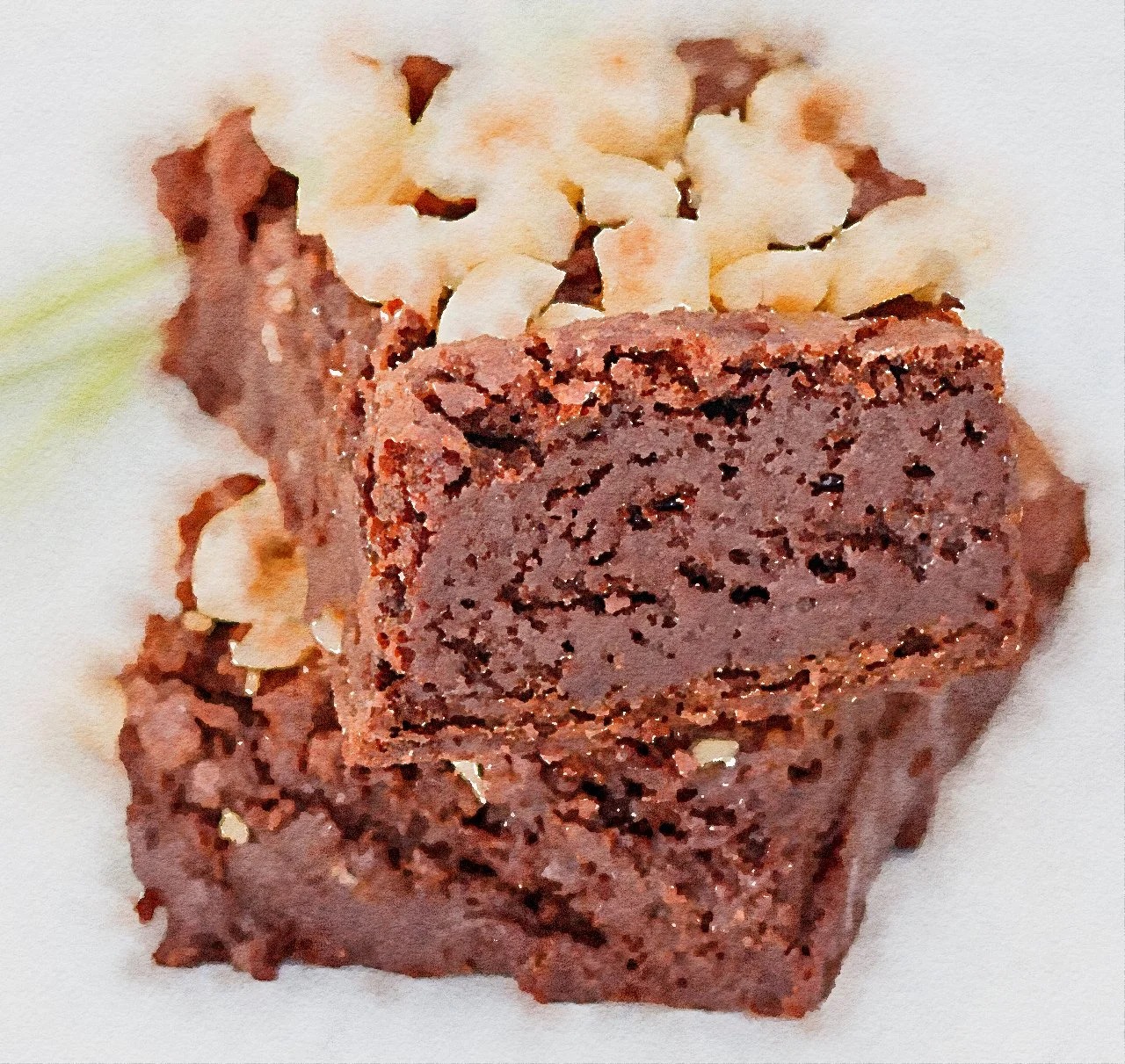Vegan hazelnut brownies