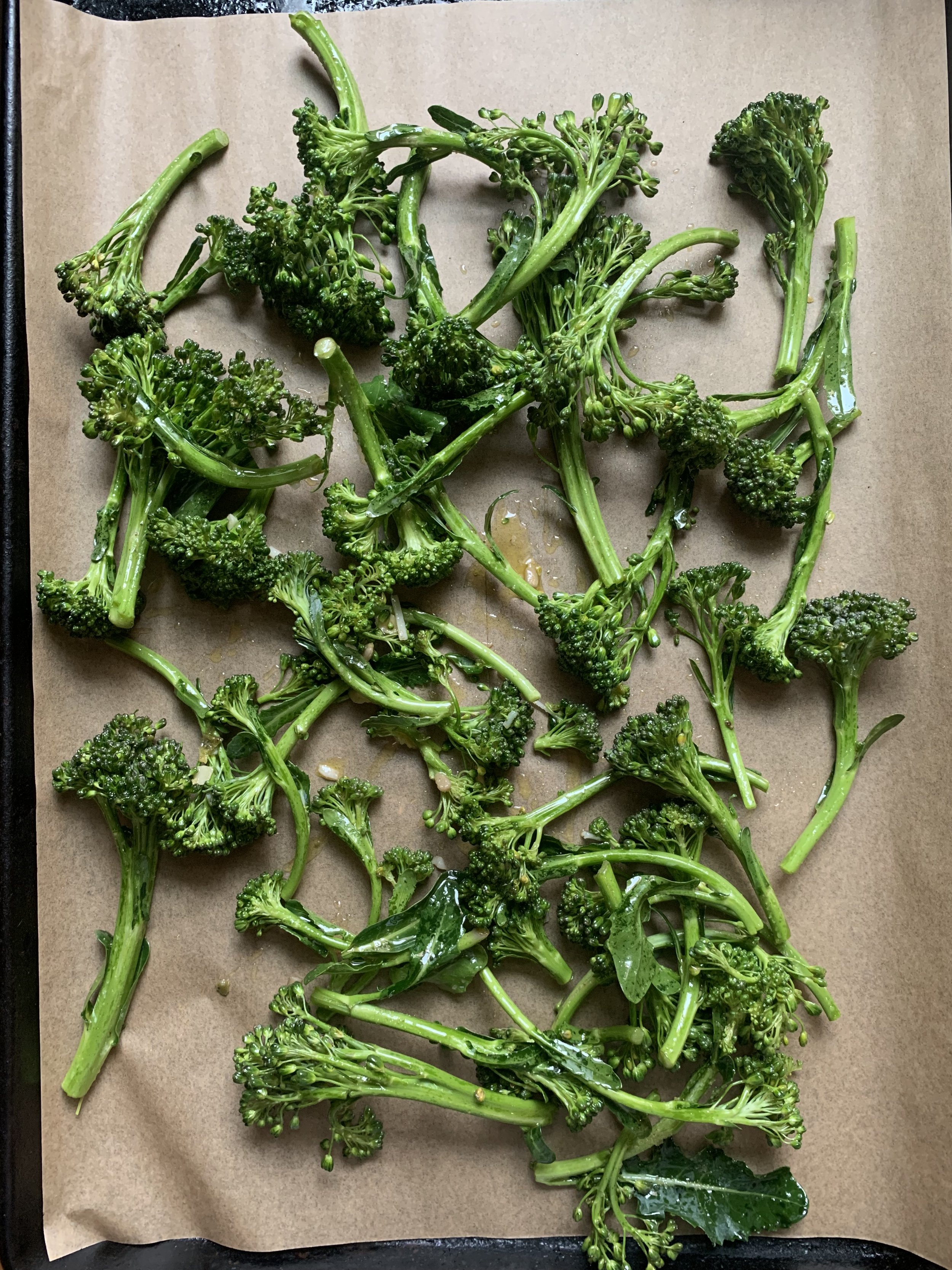 Chapter 8: The Art of Simplicity plus Wild Kitchen