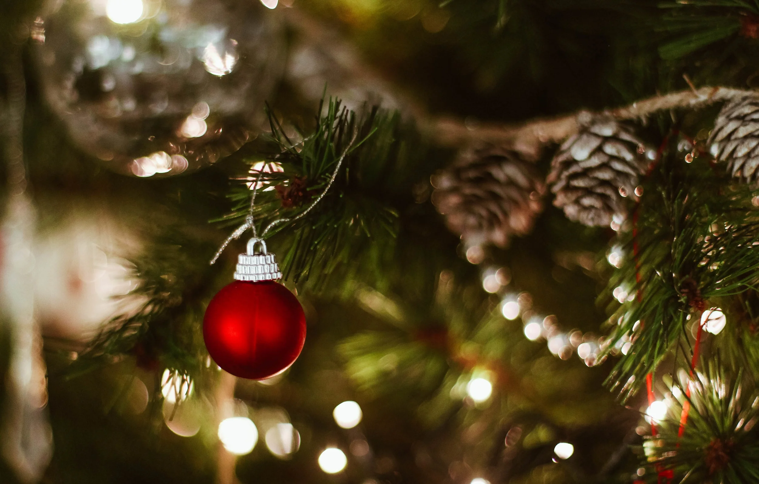 Sleigh Bells or Wedding Bells?