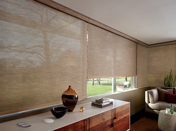 Hunter Douglas Motor 4.jpeg