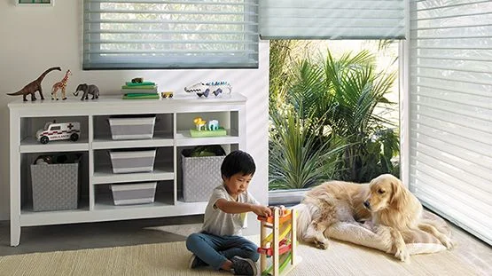 Blind, Shades, Shutter Safety | St. Louis