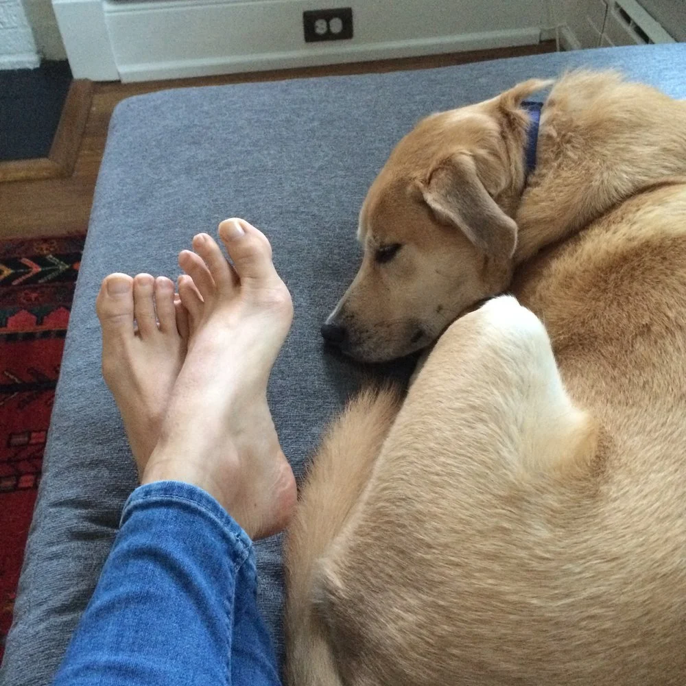 My pup, Sam, is great at resting!