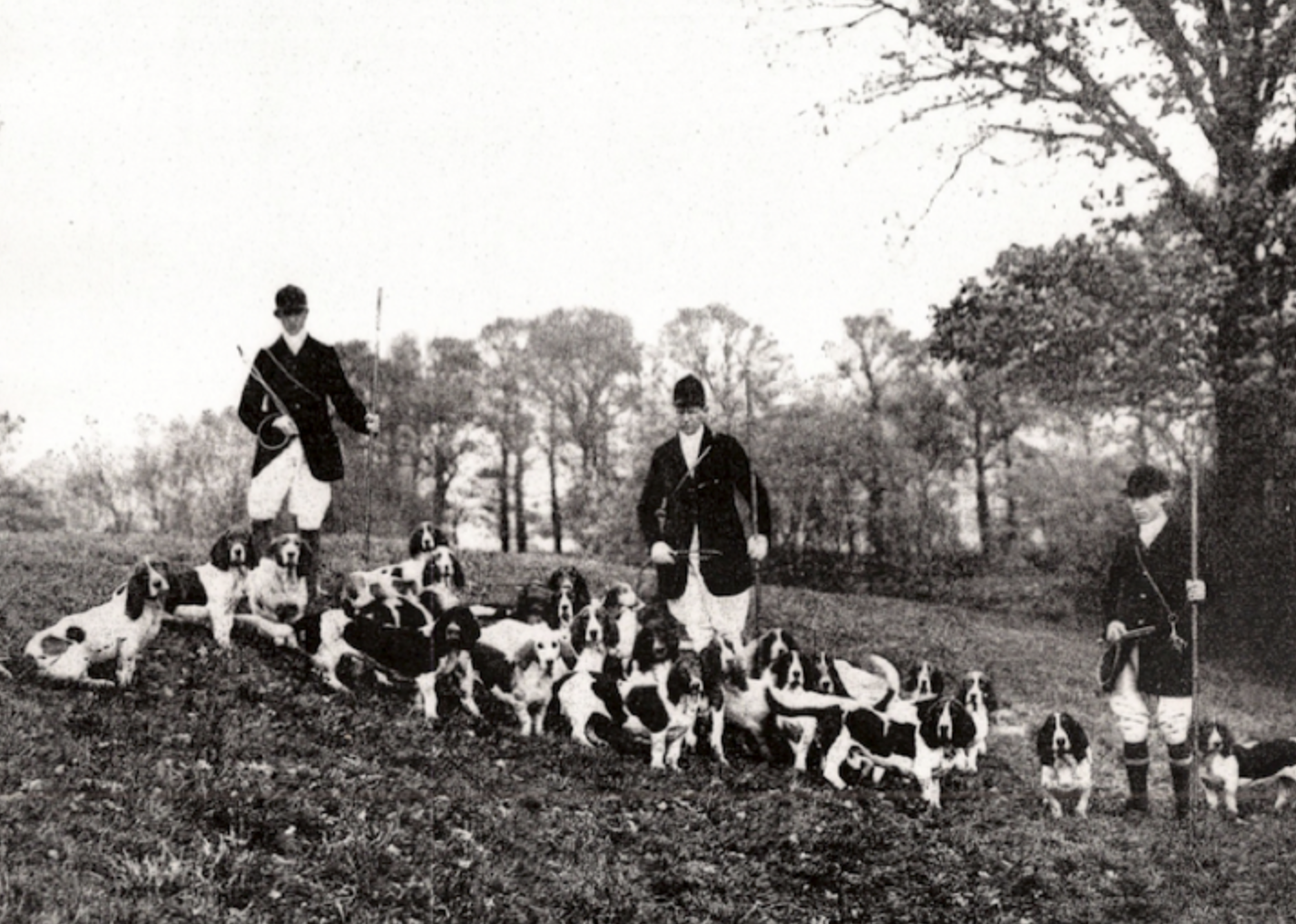 Screenshot 2023-10-31 at 10.05.54 AM.png