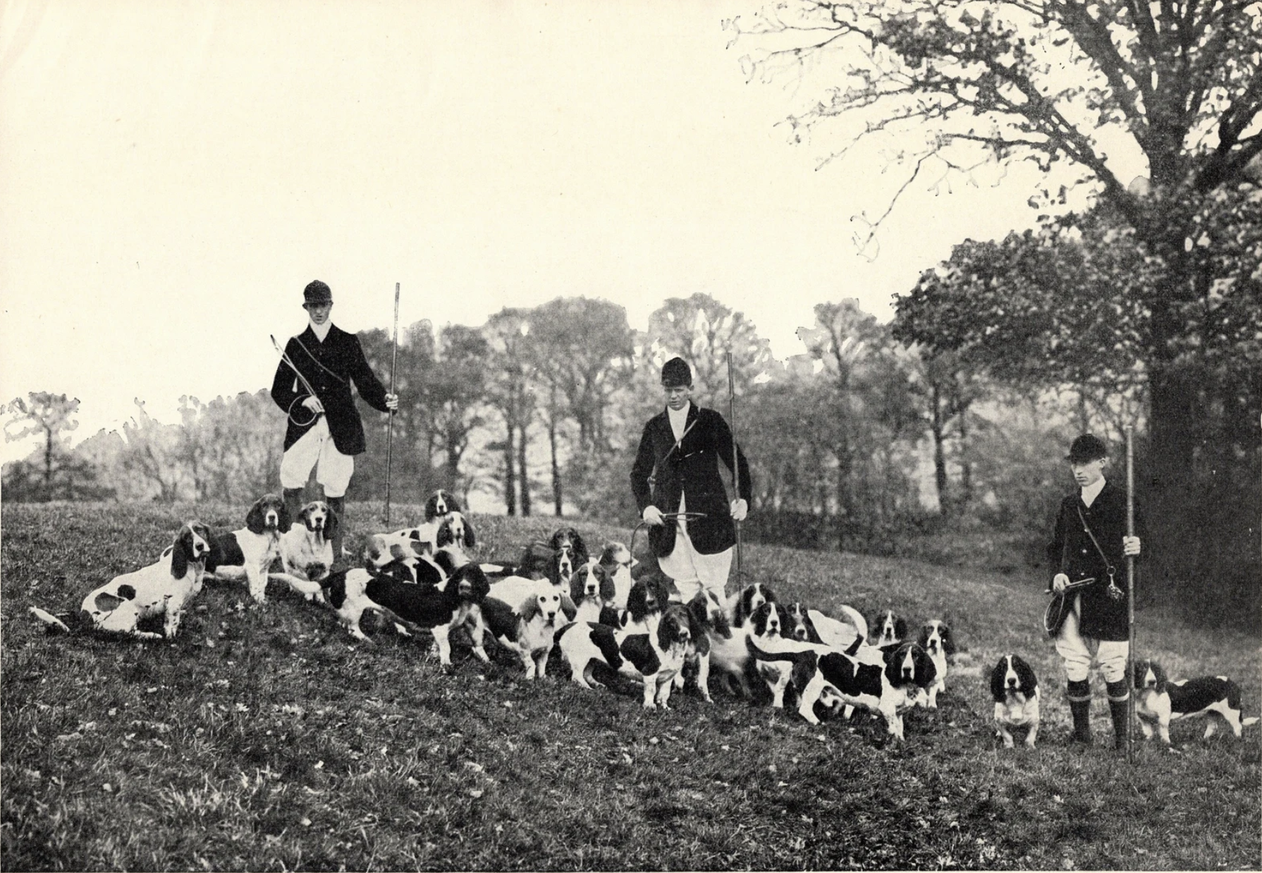 Screen Shot 2022-01-19 at 9.24.41 AM.png