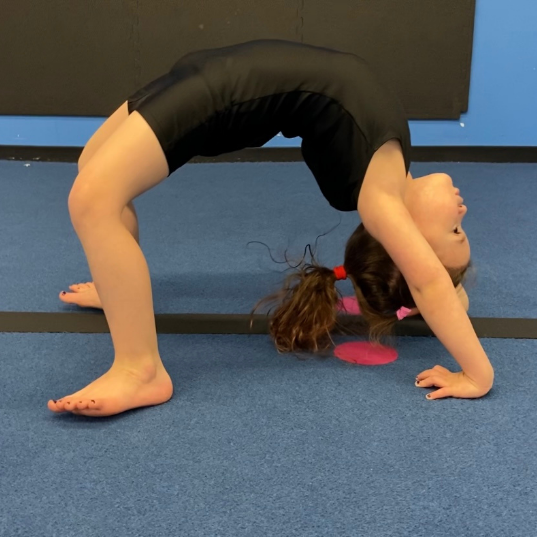 Ages 27 — MFA STUDIOS Dance, Acro, Cheer, Fitness in Locust Grove