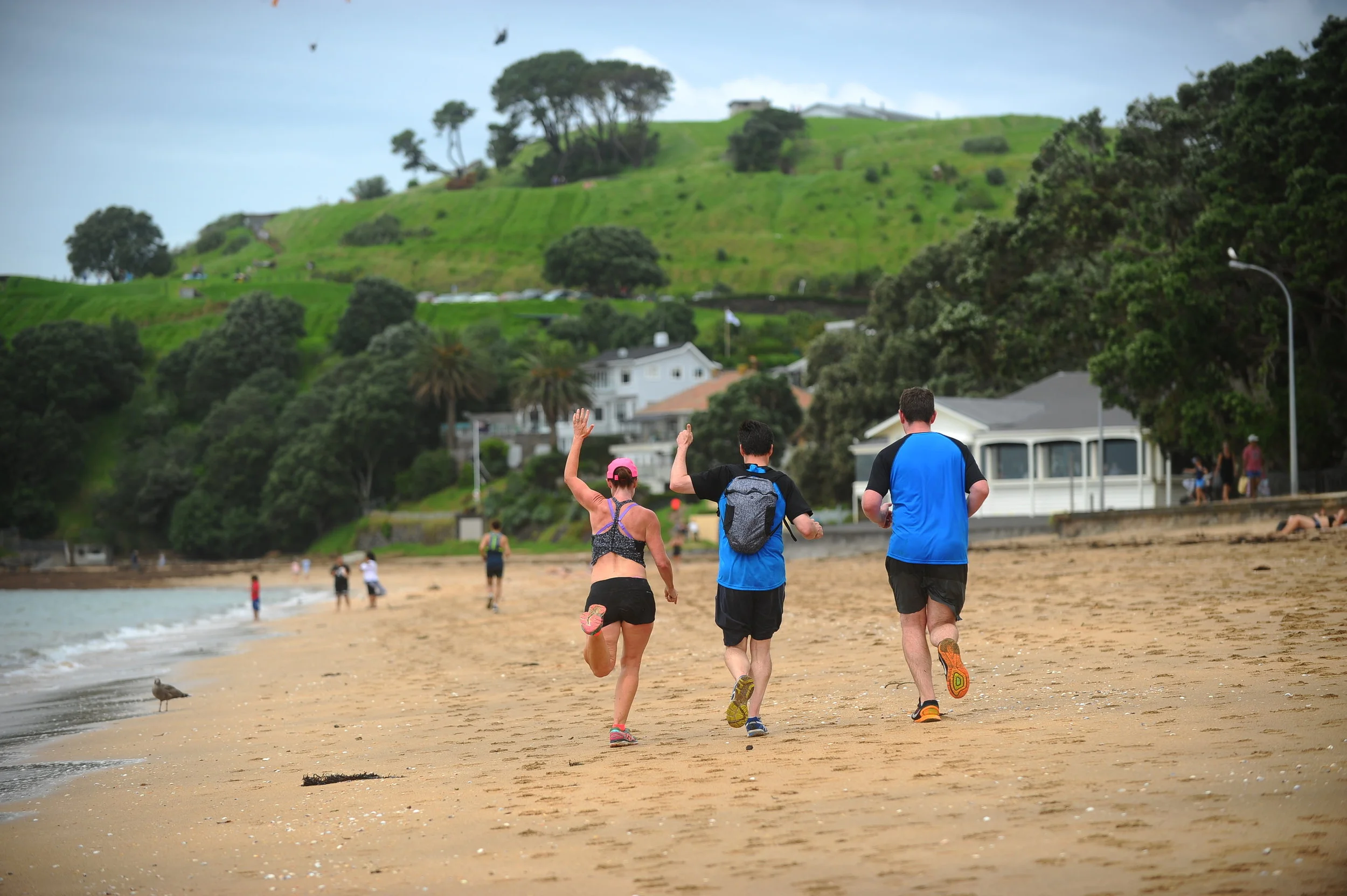 COASTAL_2018_004991.jpg