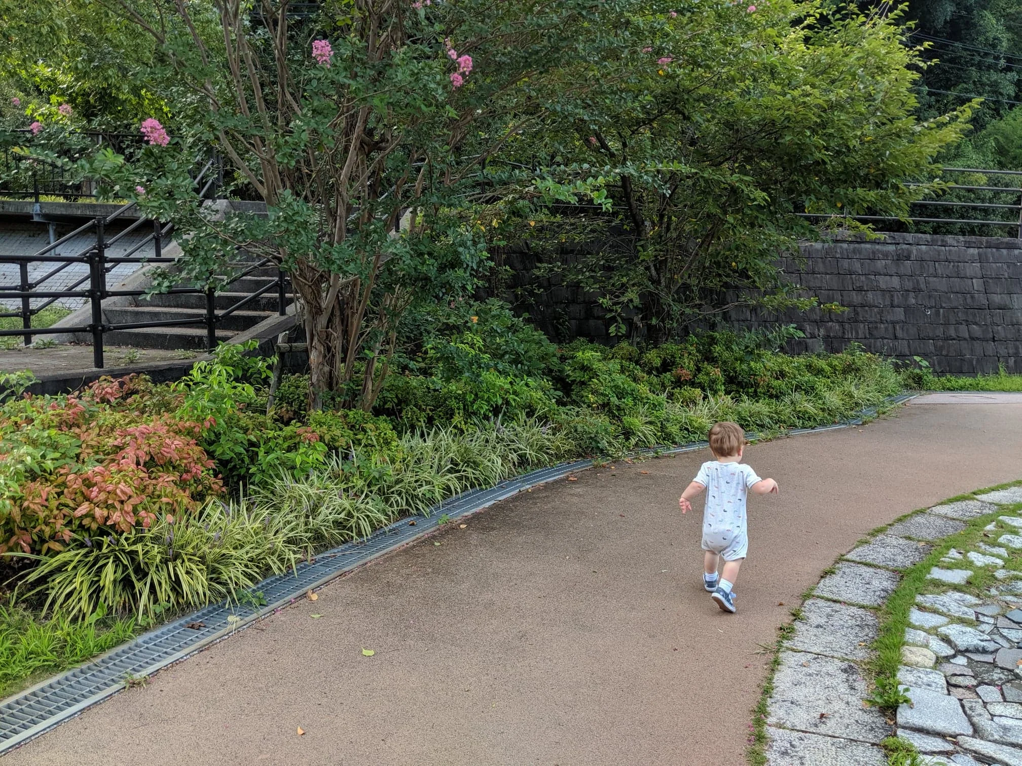 Caution: Tiny Human Teacher in Training