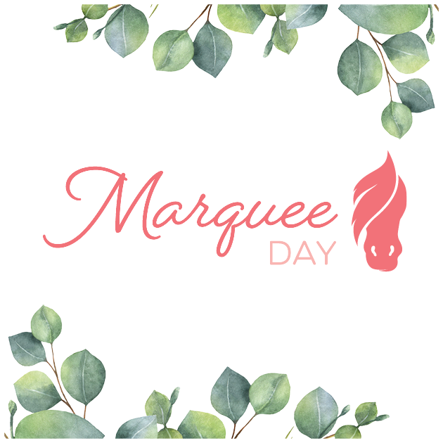 Marquee Day for MDWA