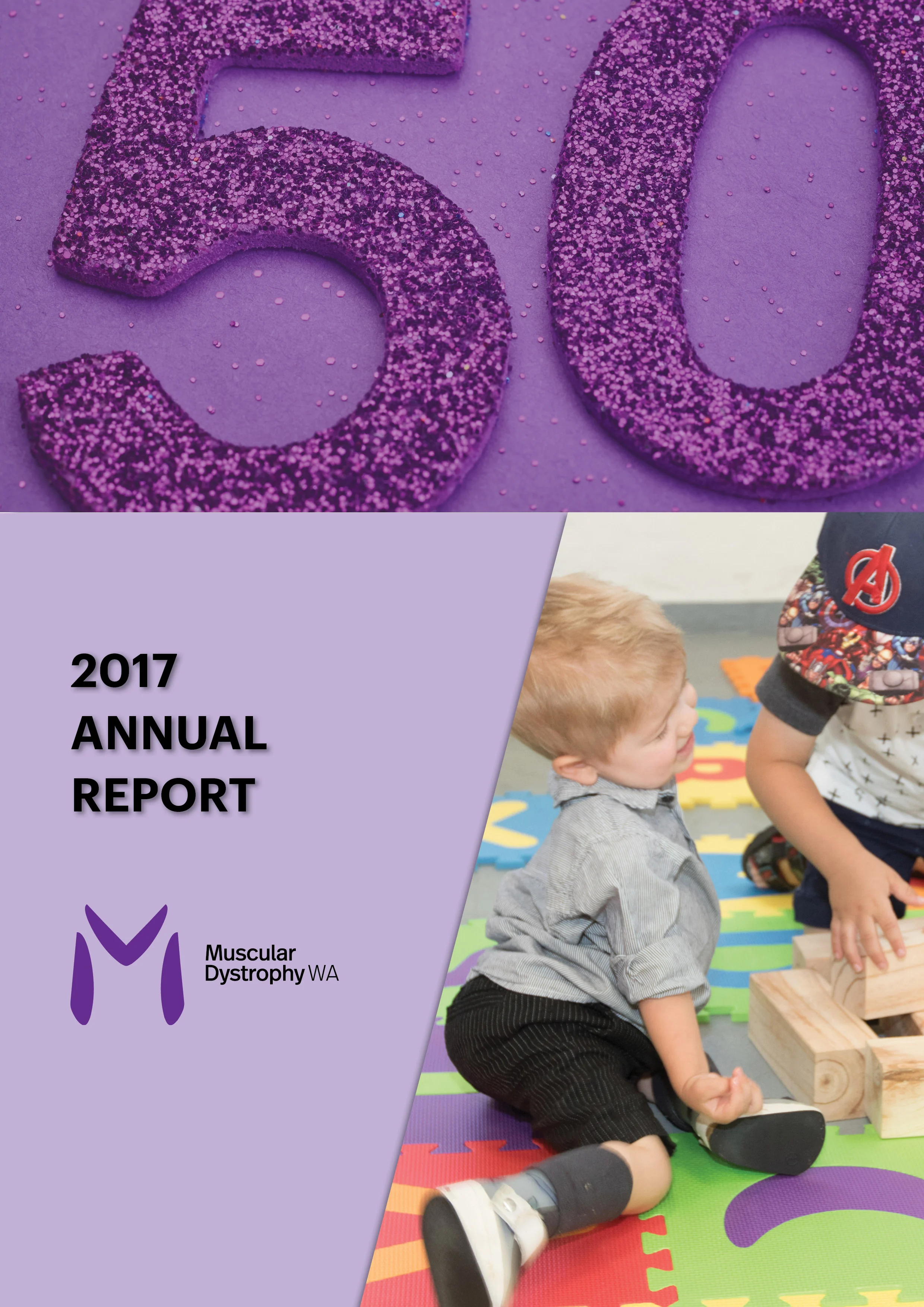 2017 Annual Report